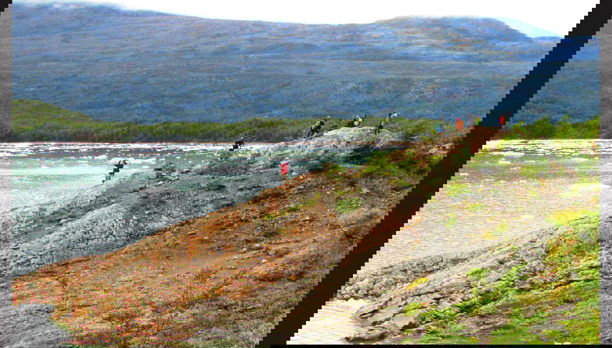 Crucero por los glaciares de Balmaceda y Serrano - Foto 1