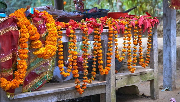 Dakshinkali Private Day Trip - Photo 4