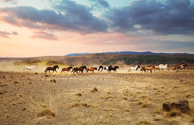 Horse Riding in Mountains of Hella - Photo 1