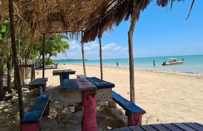Excursion sur l'île de Boipeba - Photo 5