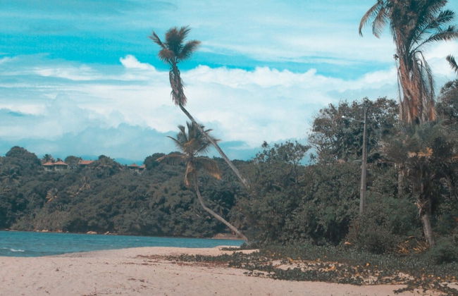 Excursion sur l'île de Boipeba - Photo 8
