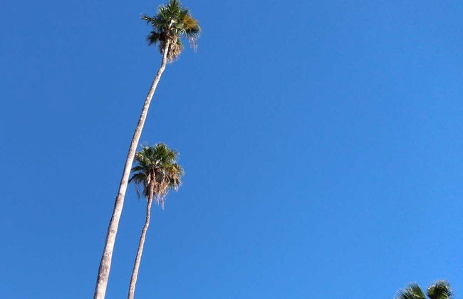 Los Mochis Tour & Topolobampo Bay Boat Ride - Photo 6