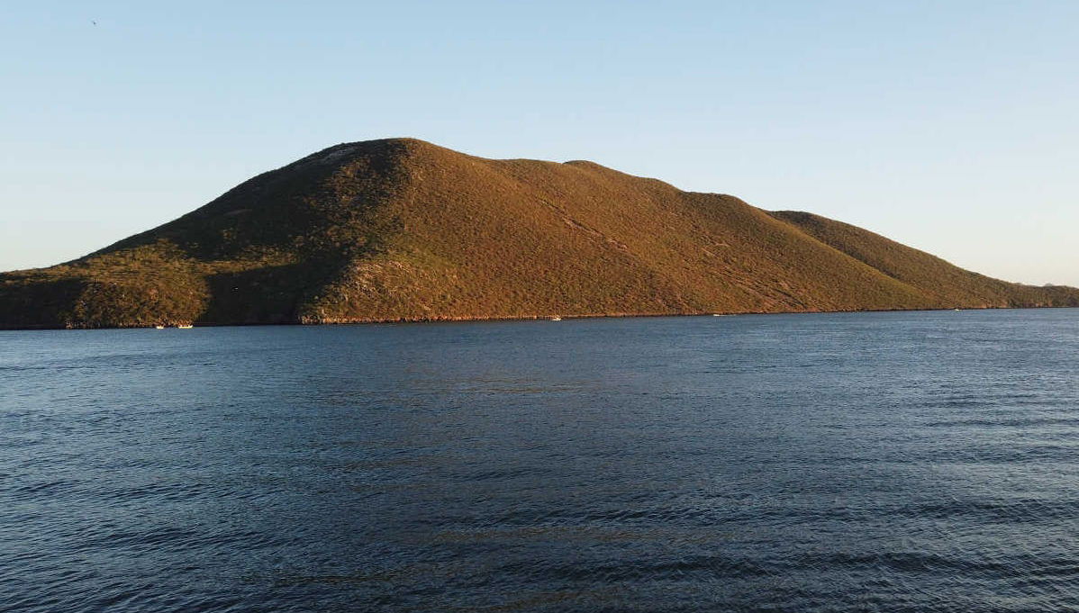 Los Mochis Tour & Topolobampo Bay Boat Ride - Foto 1