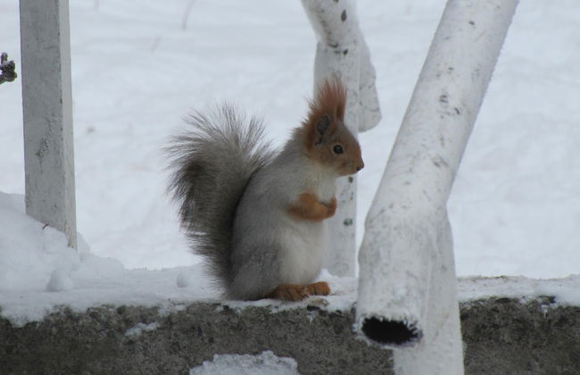 DESACTIVADA Ruta privada de senderismo por el Parque Nacional Ala Archa - Foto 6