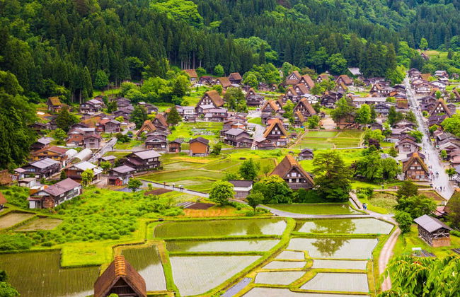 Tour por Shirakawago e Hirayu Onsen - Foto 2