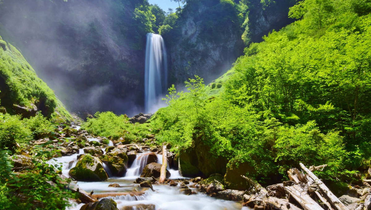 Tour por Shirakawago e Hirayu Onsen - Foto 1