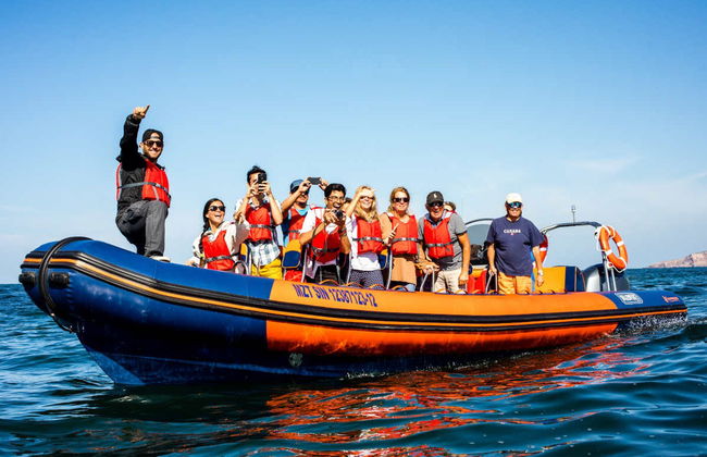 Balade en bateau à moteur dans la baie de Mazatlán + Billet pour le Musée de la Baleine - Photo 4