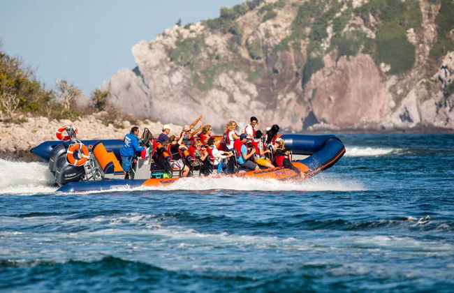Giro in motoscafo nella baia di Mazatlán - Foto 1