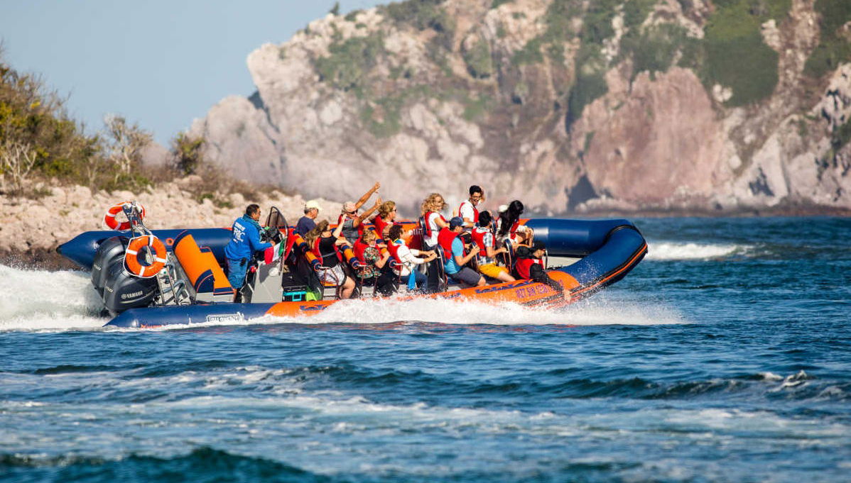 Paseo en lancha rápida por la bahía de Mazatlán + Entrada al Museo de la Ballena - Foto 1