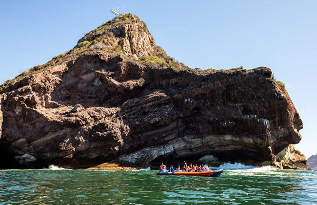 Giro in motoscafo nella baia di Mazatlán - Foto 3