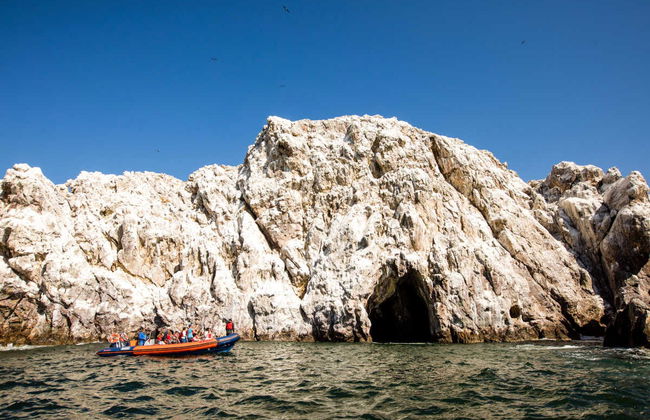 Giro in motoscafo nella baia di Mazatlán - Foto 6