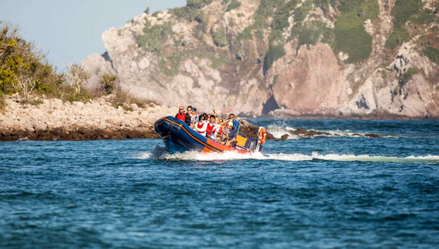 Paseo en lancha rápida por la bahía de Mazatlán + Entrada al Museo de la Ballena - Foto 5
