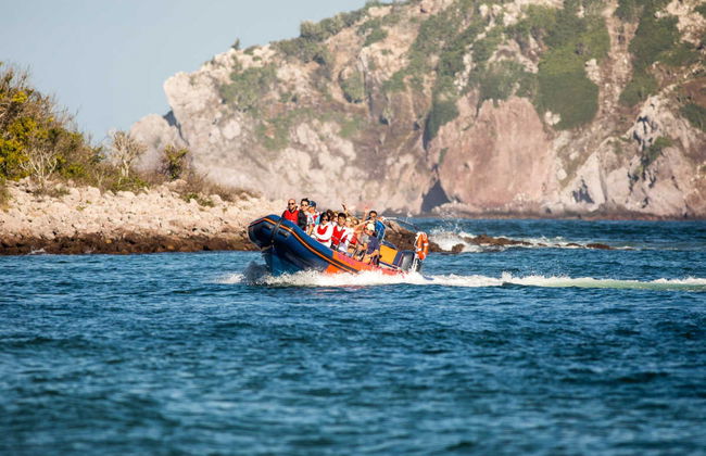 Balade en bateau à moteur dans la baie de Mazatlán + Billet pour le Musée de la Baleine - Photo 5
