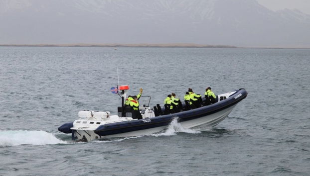 Avvistamento di balene in motoscafo - Foto 5