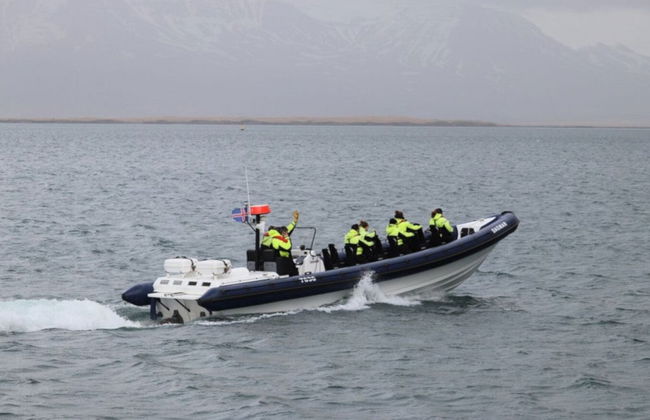 Whale Watching by Speedboat - Photo 5