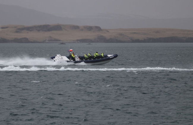 Whale Watching by Speedboat - Photo 6