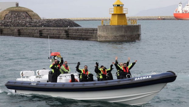 Avvistamento di balene in motoscafo - Foto 4