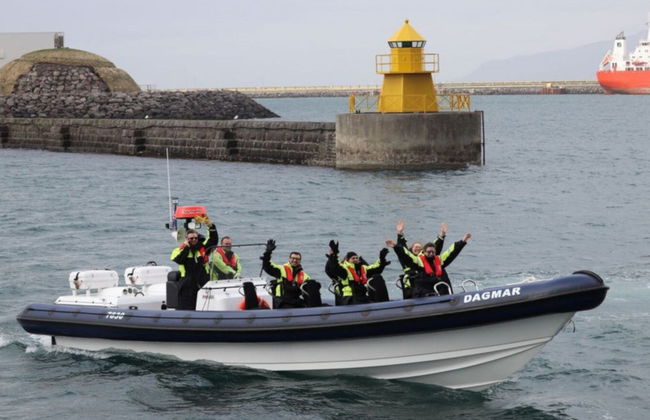 Whale Watching by Speedboat - Photo 4