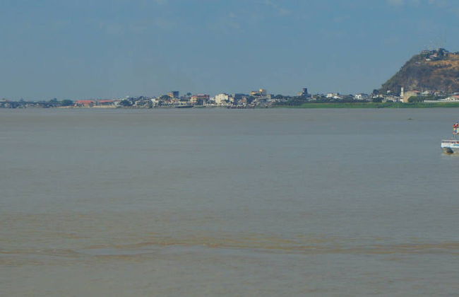 Passeio de catamarã pelo rio Guayas - Foto 7