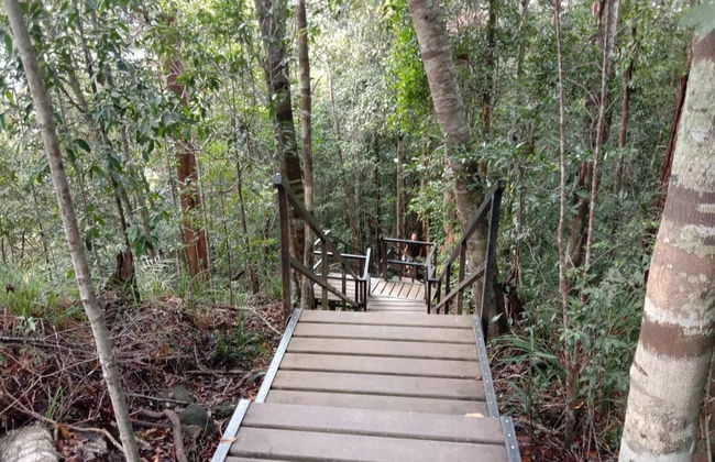 Excursion dans la jungle Taman Negara - Photo 4