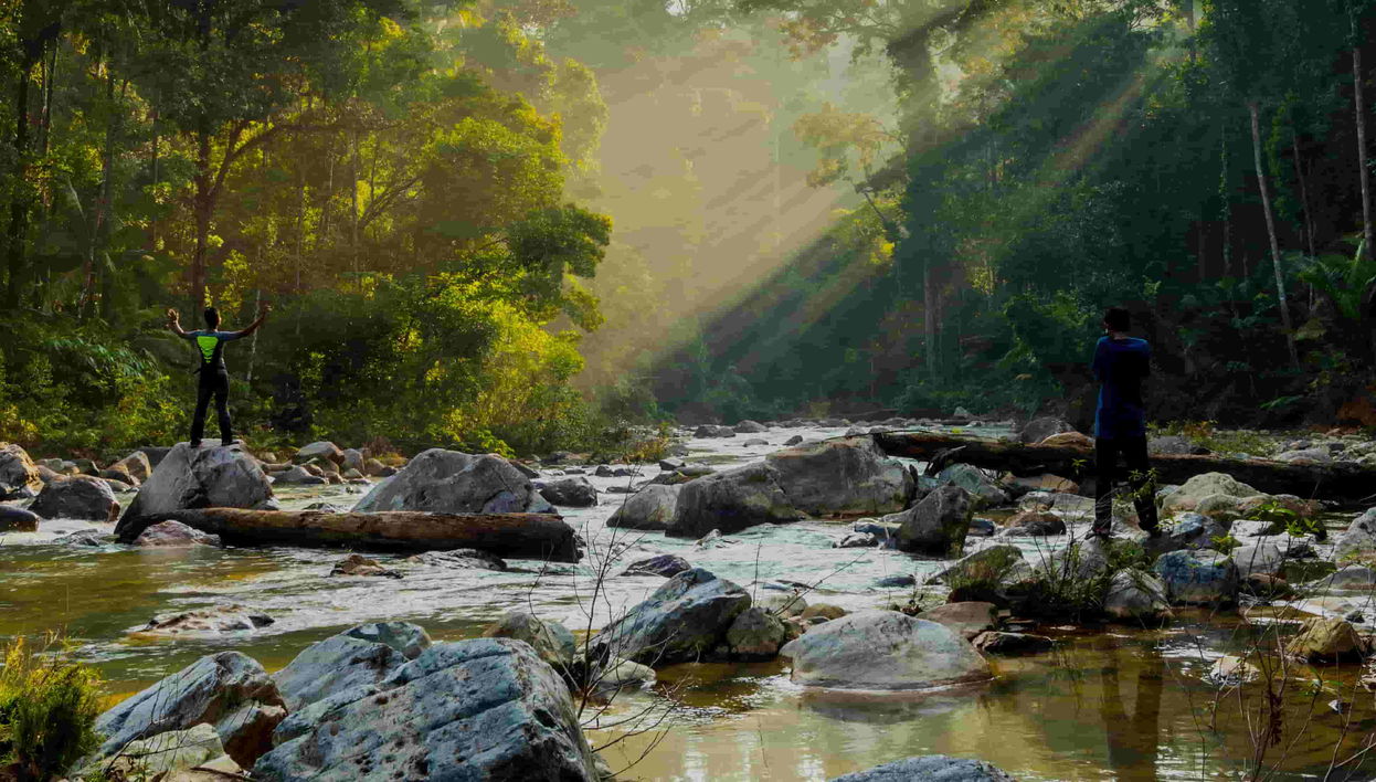 Excursão à floresta Taman Negara