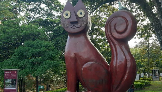 Visita guiada por Cali - Foto 3