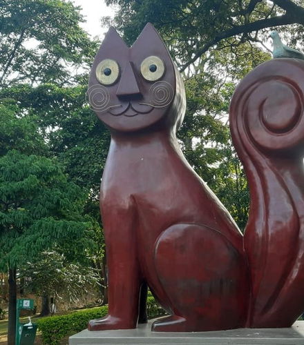 Foto de Visita guiada por Cali