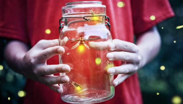 Kuala Selangor Day Trip - Foto 2