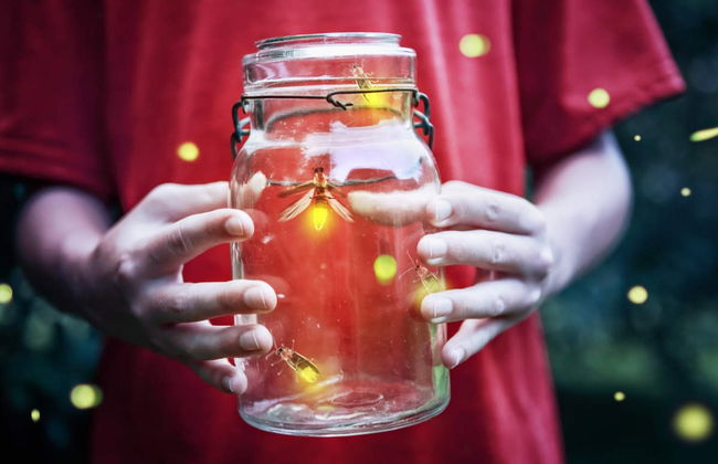 Excursion à Kuala Selangor - Photo 2