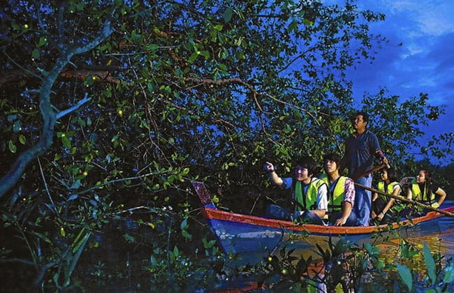 Excursion à Kuala Selangor - Photo 3