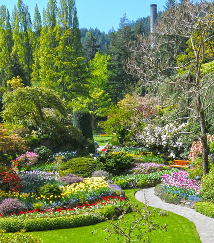Photo - Excursion privée depuis Vancouver