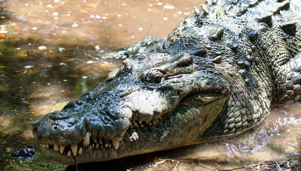 Ventanilla and Mazunte Day trip - Photo 4