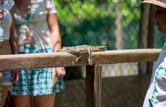 Ventanilla and Mazunte Day trip - Photo 1