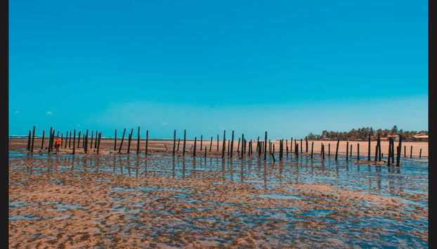 Private Trip from Fortaleza - Photo 3