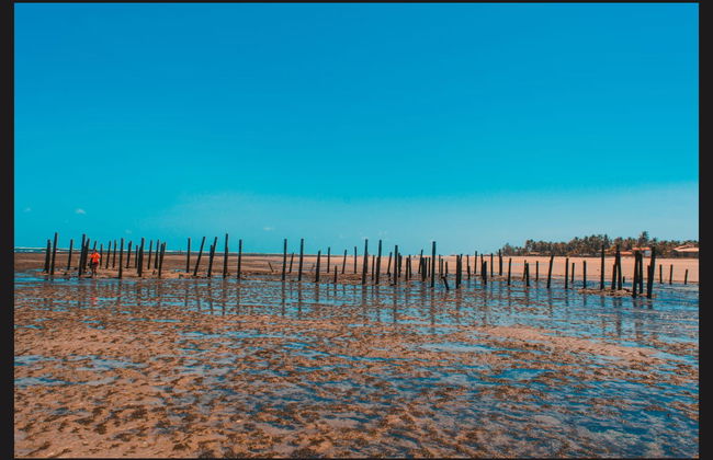 Excursion privée depuis Fortaleza - Photo 3