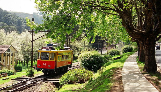 Excursion privée depuis São Paulo - Photo 4