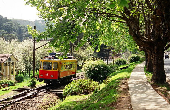 Day Trip to Campos do Jordão - Photo 2