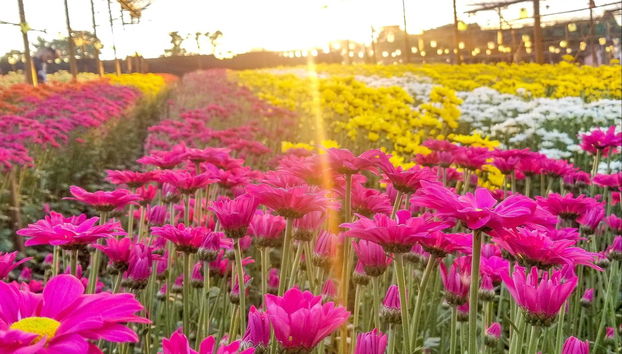 Excursion privée depuis São Paulo - Photo 2