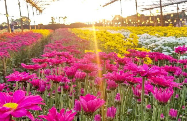 Sao Paolo Private Day Trip - Photo 1