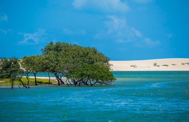 Galinhos Day Trip & Boat Cruise - Photo 1