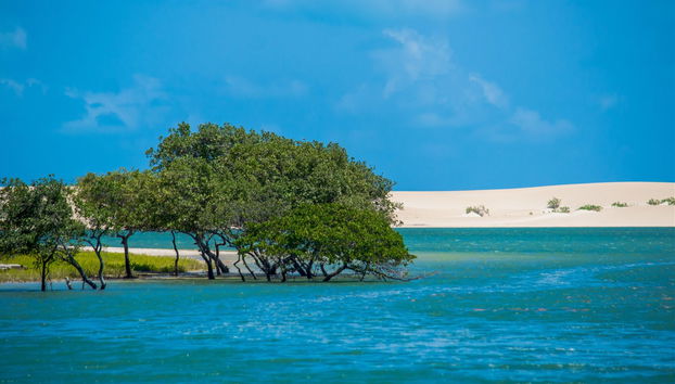 Excursão a Galinhos + Passeio de barco - Foto 2