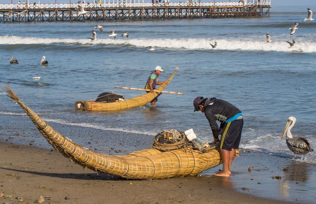 Excursión a Chan Chan + Pesca artesanal en Huanchaco - Foto 6