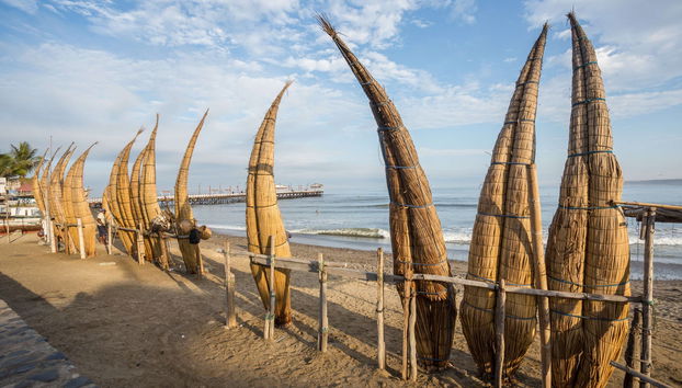 Excursión a Chan Chan + Pesca artesanal en Huanchaco - Foto 5