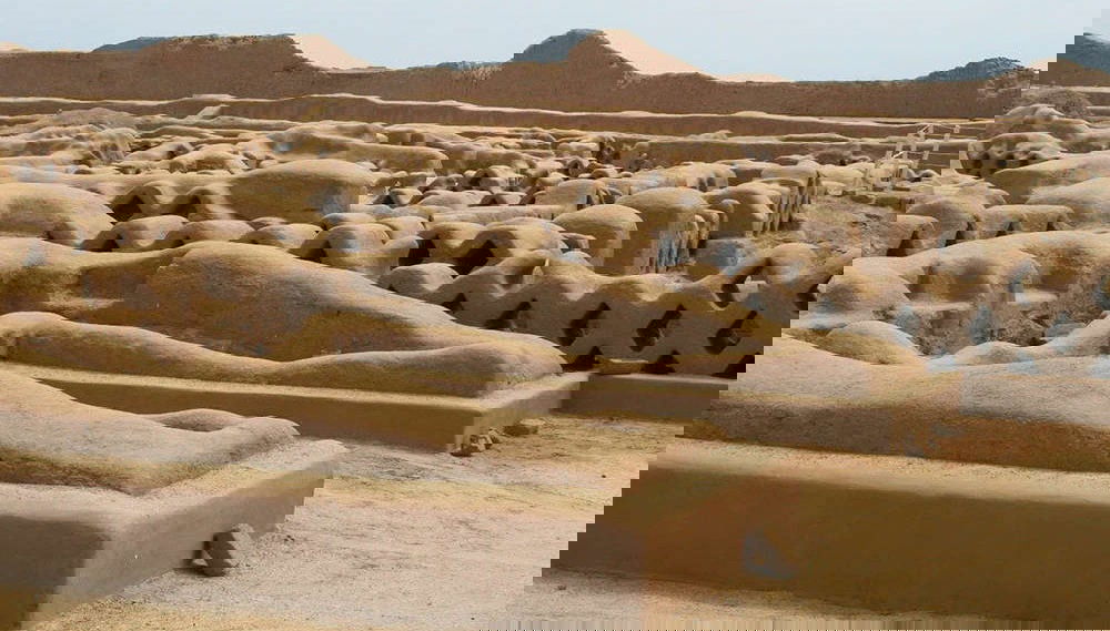 Excursión a Chan Chan + Pesca artesanal en Huanchaco - Foto 1