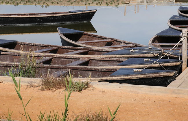 Entrada a MónNatura Delta del Ebro - Foto 8