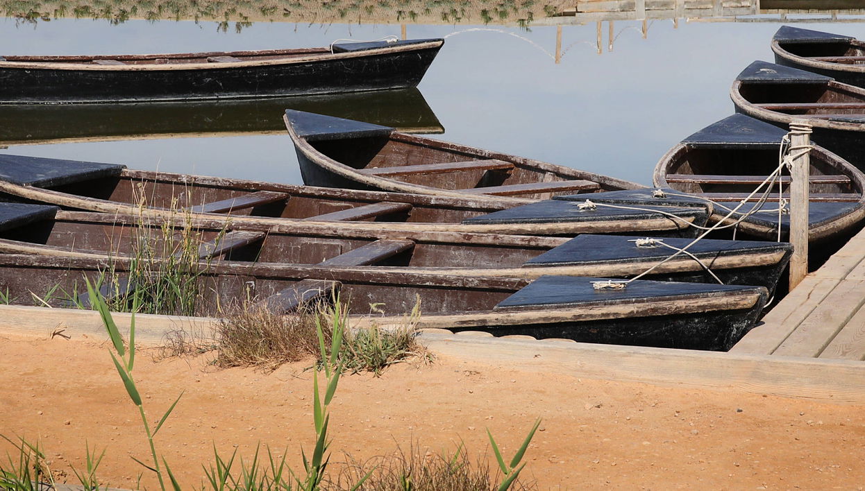 Billet pour MónNatura Delta de l'Èbre