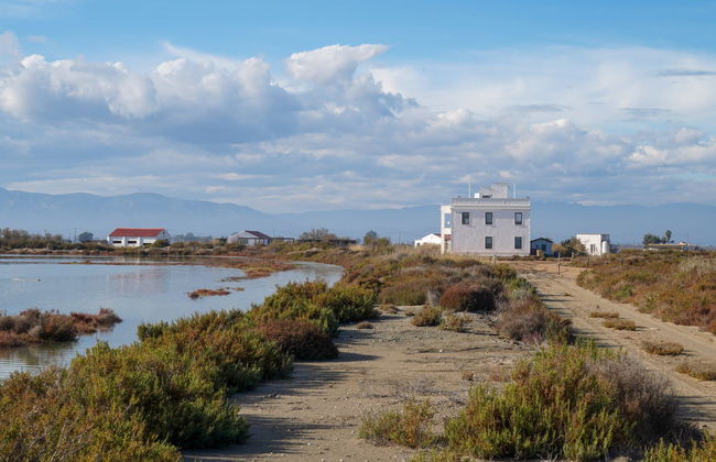 Entrada a MónNatura Delta del Ebro - Foto 4