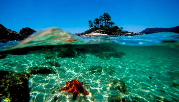 Balade en bateau aux Ilhas Botinas + Plages de Angra dos Reis - Photo 2