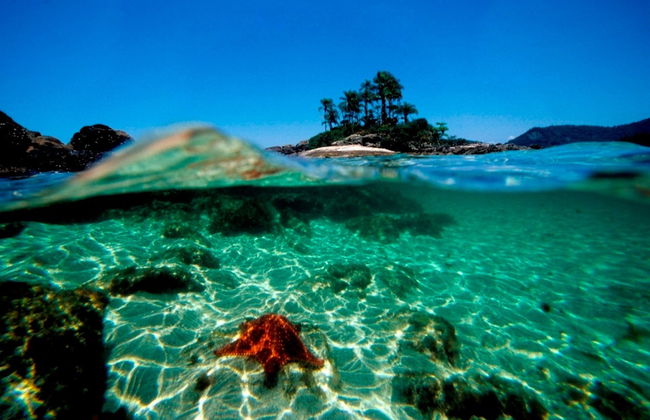 Balade en bateau aux Ilhas Botinas + Plages de Angra dos Reis - Photo 2