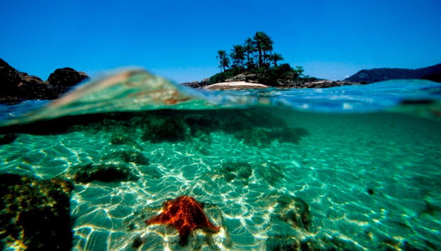 Ilhas Botinas Boat Trip + Angra dos Reis Beaches - Foto 4